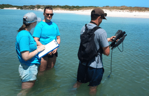 south-africa-marine-biology-internship-3