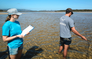 south-africa-marine-biology-internship-4