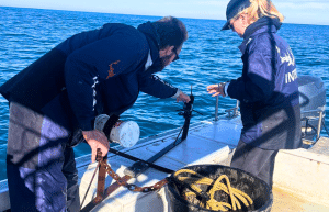 south-africa-marine-biology-internship-6
