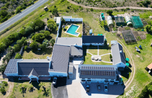 south-africa-marine-biology-internship-9