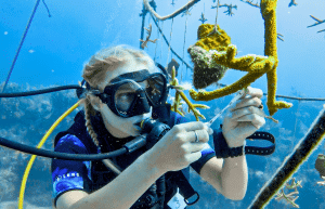 marine-conservation-diving-expedition-for-teenagers-1