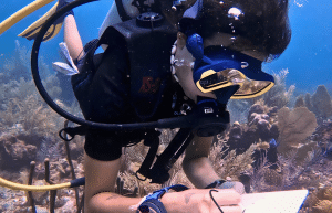 marine-conservation-diving-expedition-for-teenagers-5