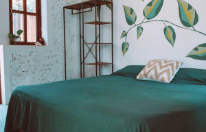 mexico–marine-coral-reef-conservation-in-the-caribbean-12