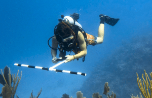 mexico–marine-coral-reef-conservation-in-the-caribbean-7