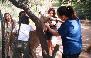 argentina-family-friendly-puma-wildlife-conservation-12