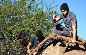 argentina-family-friendly-puma-wildlife-conservation-24