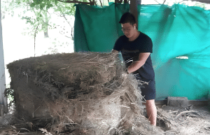 argentina-family-friendly-puma-wildlife-conservation-39