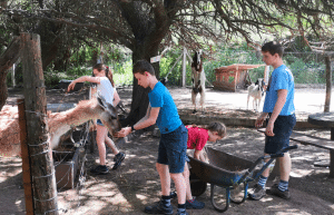 argentina-family-friendly-puma-wildlife-conservation-69