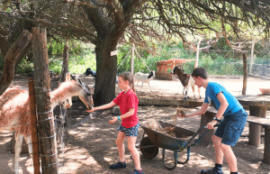 argentina-family-friendly-puma-wildlife-conservation-77