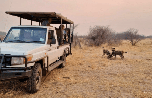 botswana-family-friendly-wildlife-conservation-kalahari-16