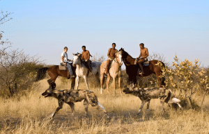 botswana-family-friendly-wildlife-conservation-kalahari-18