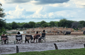 botswana-family-friendly-wildlife-conservation-kalahari-21