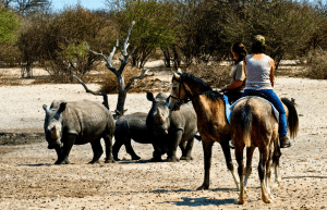 botswana-family-friendly-wildlife-conservation-kalahari-35