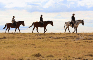 botswana-family-friendly-wildlife-conservation-kalahari-4