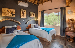 botswana-family-friendly-wildlife-conservation-kalahari-43