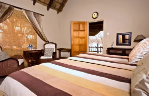botswana-family-friendly-wildlife-conservation-kalahari-45