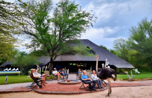 botswana-family-friendly-wildlife-conservation-kalahari-54