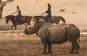 botswana-family-friendly-wildlife-conservation-kalahari-7