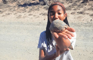 cape-town-community-wildlife-conservation-teenagers-14