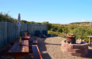 cape-town-community-wildlife-conservation-teenagers-20