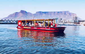 cape-town-community-wildlife-conservation-teenagers-27