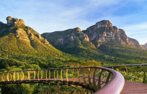 cape-town-community-wildlife-conservation-teenagers-42