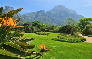 cape-town-community-wildlife-conservation-teenagers-55