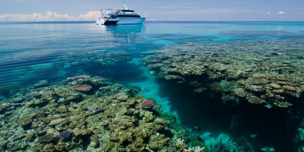Australia - Great Barrier Reef Conservation5