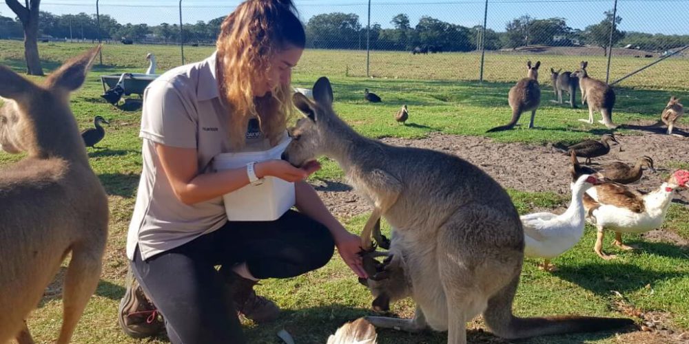 Australia - Port Stephens Wildlife Park13