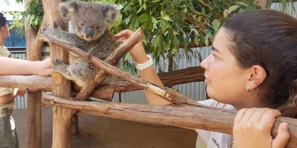 Australia - Port Stephens Wildlife Park2