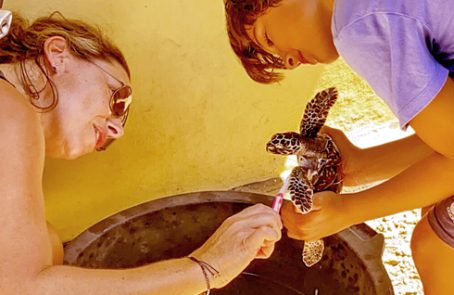 Bali---Family-Friendly-Sea-Turtle-Rescue---main---1