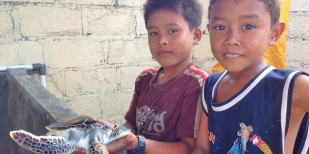 Bali - Family-Friendly Sea Turtle Rescue5