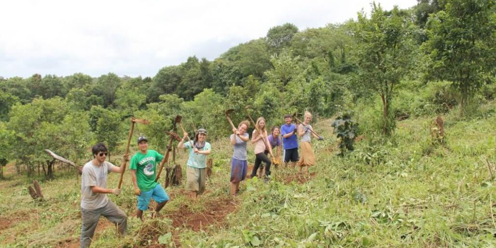 Cambodia - Elephant Sanctuary & Forest Conservation12