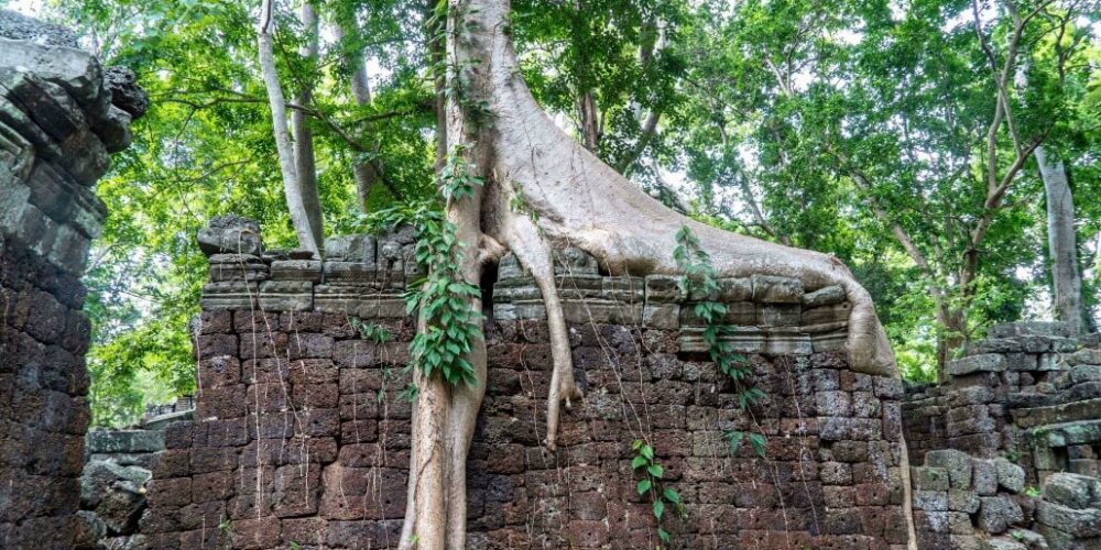 Cambodia - Temple Preservation9