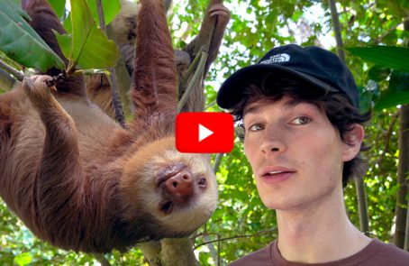 Costa-Rica---Animal-Rescue-and-Conservation---main---Video---double-check-proportion