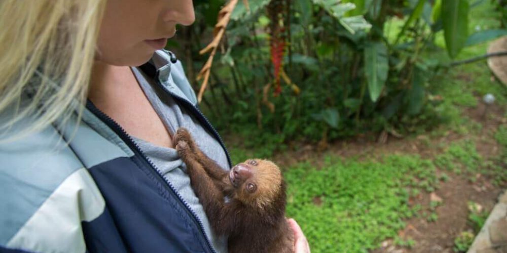 Costa Rica - Animal Rescue and Conservation10