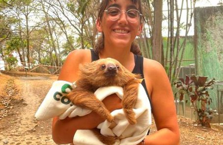 Costa-Rica-Family-Friendly-Animal-Rescue-and-Conservation-main-4