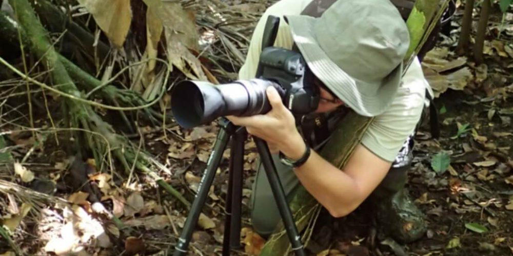 Costa Rica - Jaguar Research and Conservation2