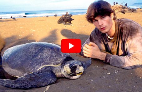 Costa-Rica---Sea-Turtle-Conservation---main---Video---double-check-proportion