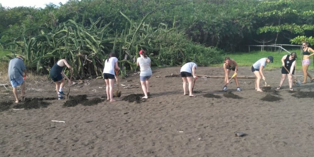 Costa Rica - Sea Turtle Conservation12