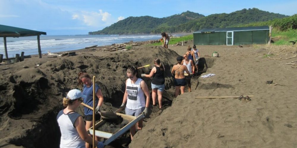 Costa Rica - Sea Turtle Conservation31