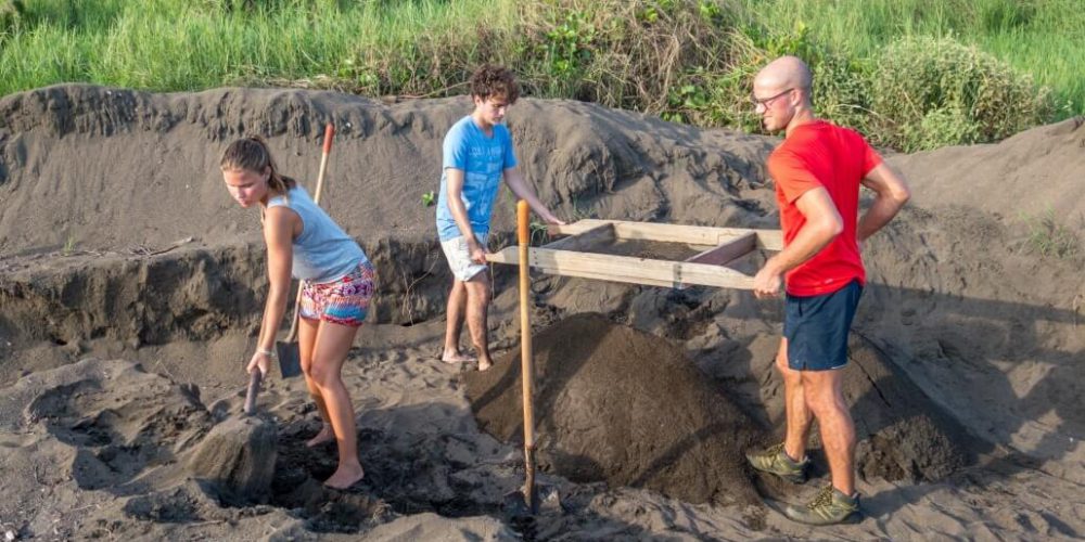 Costa Rica - Sea Turtle Conservation37