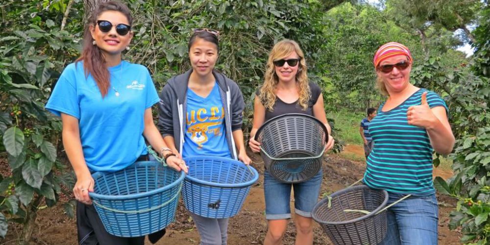 Costa Rica - Sustainable Organic Coffee Farming2