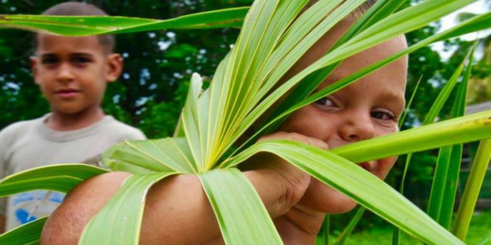 Cuba - Island Seaside Conservation21