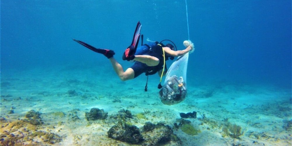 Cuba - Island Seaside Conservation4