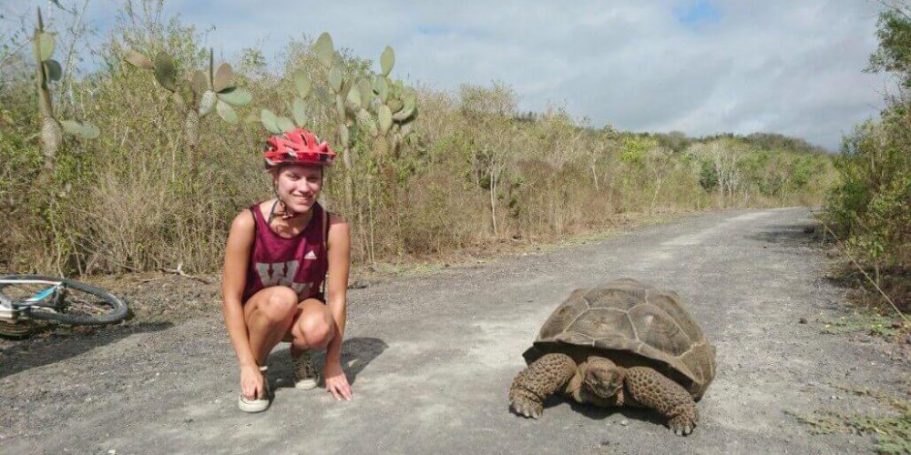 Ecuador - Giant Tortoise and Sea Turtle Conservation in the Galápagos30