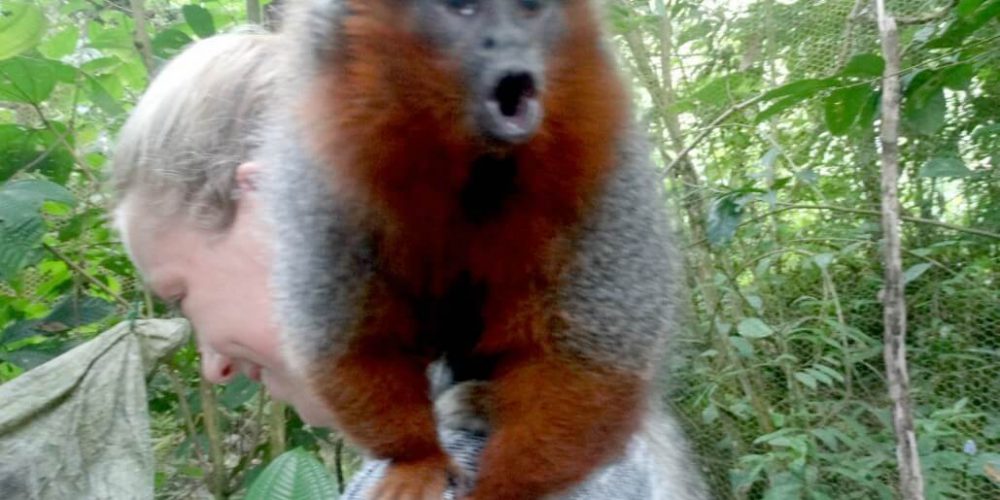 Ecuador - Rainforest Monkey Sanctuary5