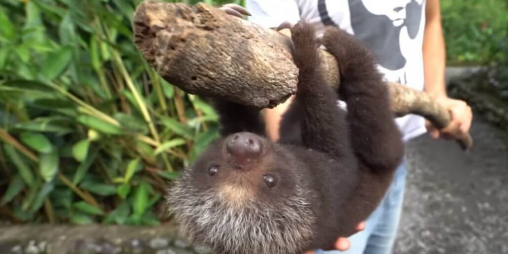 Ecuador - Wild Animal Rescue Shelter20