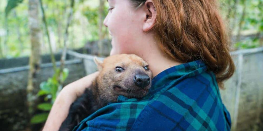 Ecuador - Wild Animal Rescue Shelter31