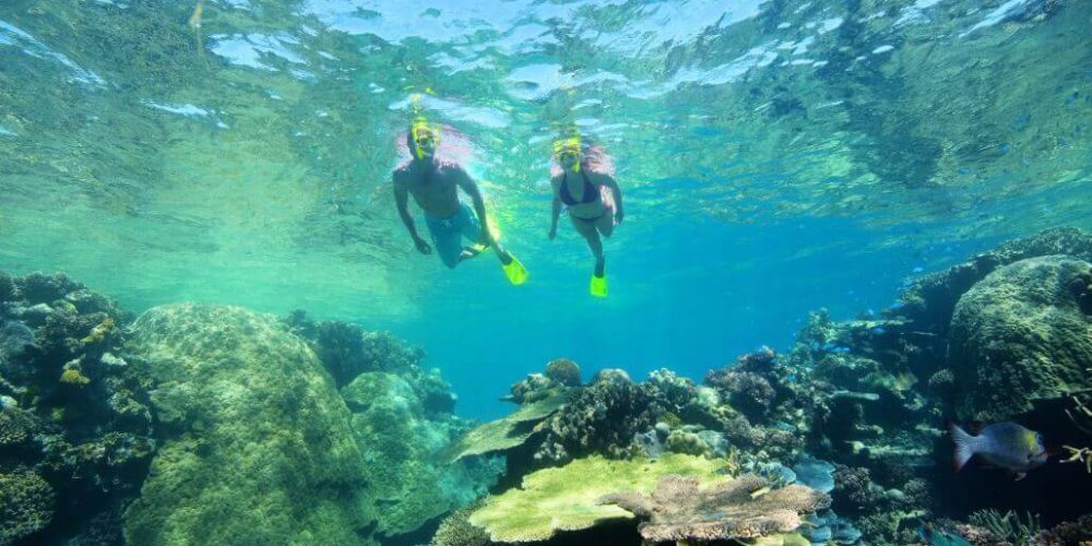 Fiji - Diving and Marine Conservation Expedition7